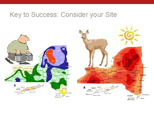 Key to Success: Consider your Site 