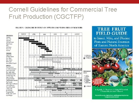 Cornell Guidelines for Commercial Tree Fruit Production (CGCTFP) 