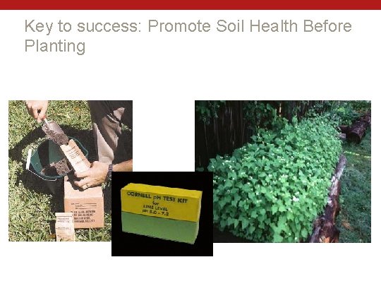 Key to success: Promote Soil Health Before Planting 