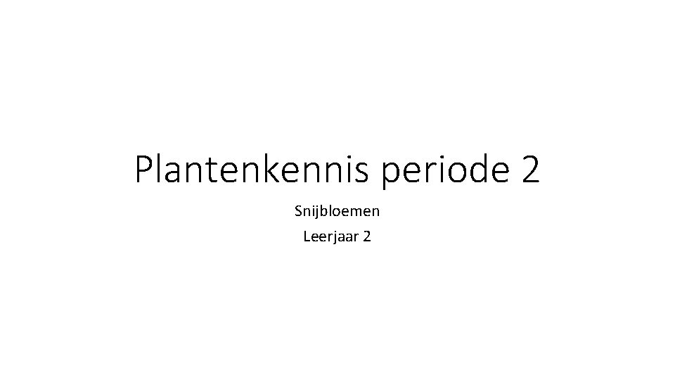 Plantenkennis periode 2 Snijbloemen Leerjaar 2 