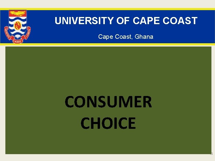 UNIVERSITY OF CAPE COAST Cape Coast, Ghana CONSUMER CHOICE 45 