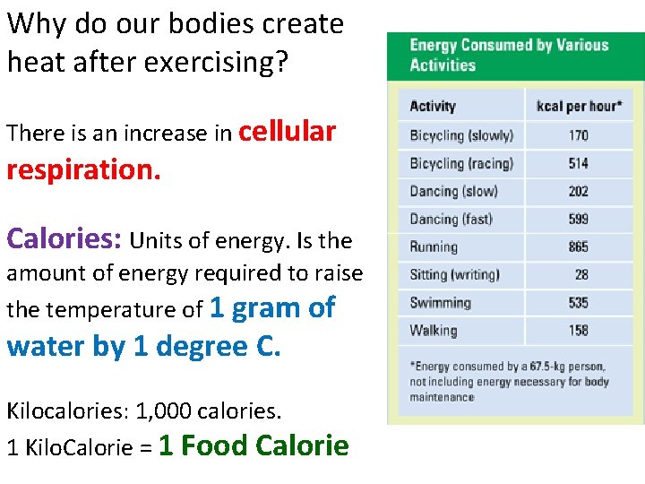 Why do our bodies create heat after exercising? There is an increase in cellular