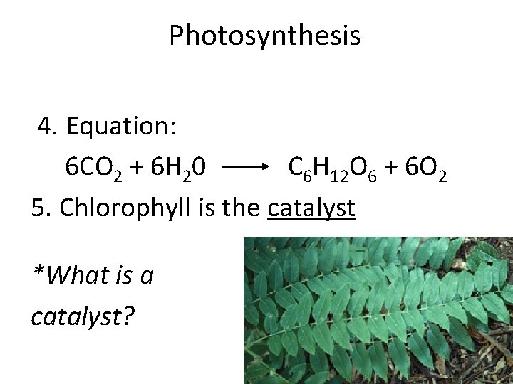 Photosynthesis 4. Equation: 6 CO 2 + 6 H 20 C 6 H 12