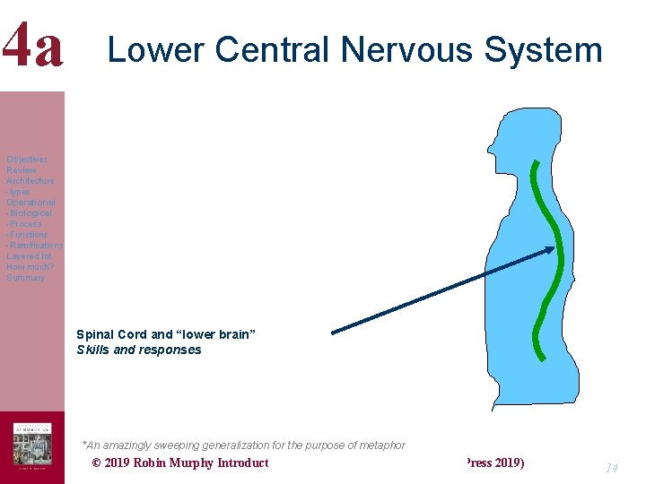 4 a Lower Central Nervous System Objectives Review Architecture -types Operational -Biological -Process -Functions