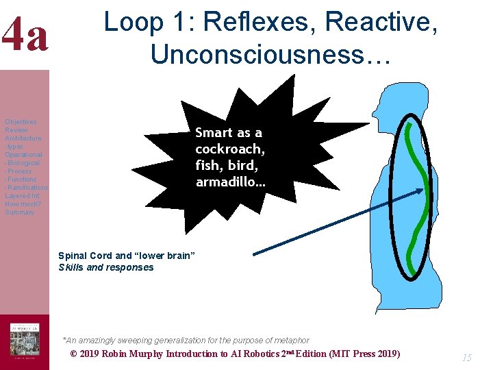 4 a Loop 1: Reflexes, Reactive, Unconsciousness… Objectives Review Architecture -types Operational -Biological -Process