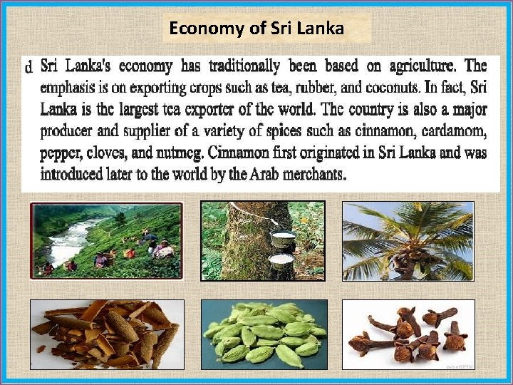 Economy of Sri Lanka 