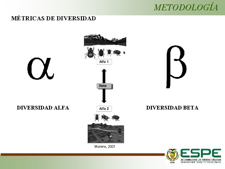 METODOLOGÍA MÉTRICAS DE DIVERSIDAD ALFA Moreno, 2001 DIVERSIDAD BETA 