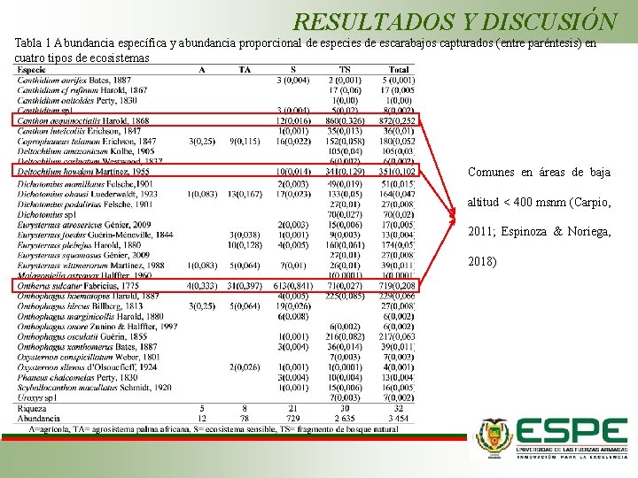 RESULTADOS Y DISCUSIÓN Tabla 1 Abundancia específica y abundancia proporcional de especies de escarabajos