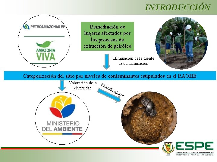 INTRODUCCIÓN Remediación de lugares afectados por los procesos de extracción de petróleo Eliminación de