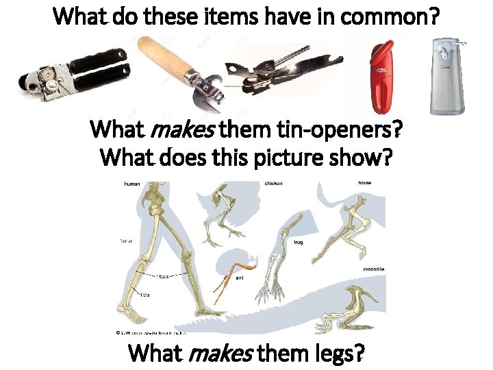 What do these items have in common? What makes them tin-openers? What does this