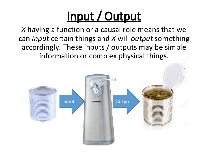 Input / Output X having a function or a causal role means that we