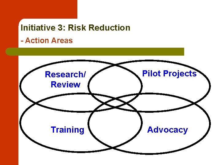 Initiative 3: Risk Reduction - Action Areas Research/ Review Pilot Projects Training Advocacy 