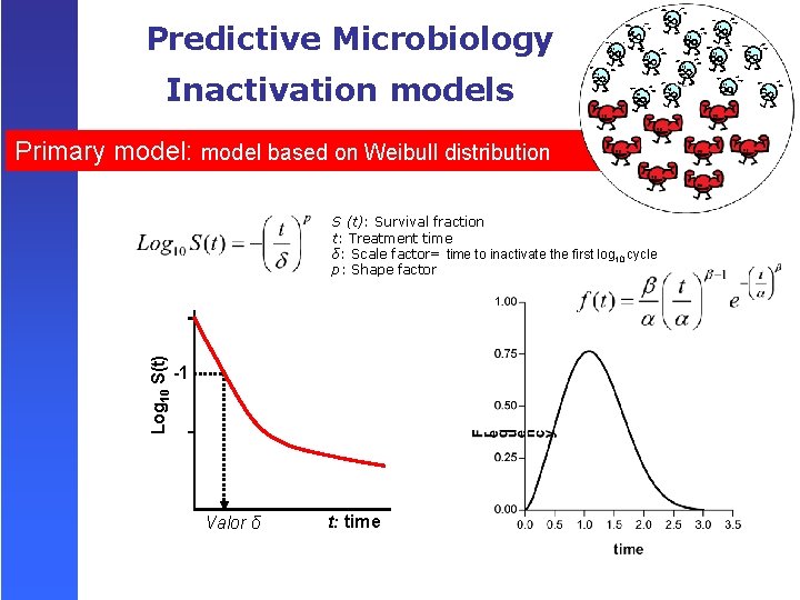 Predictive Microbiology Inactivation models Primary model: model based on Weibull distribution Log 10 S(t)