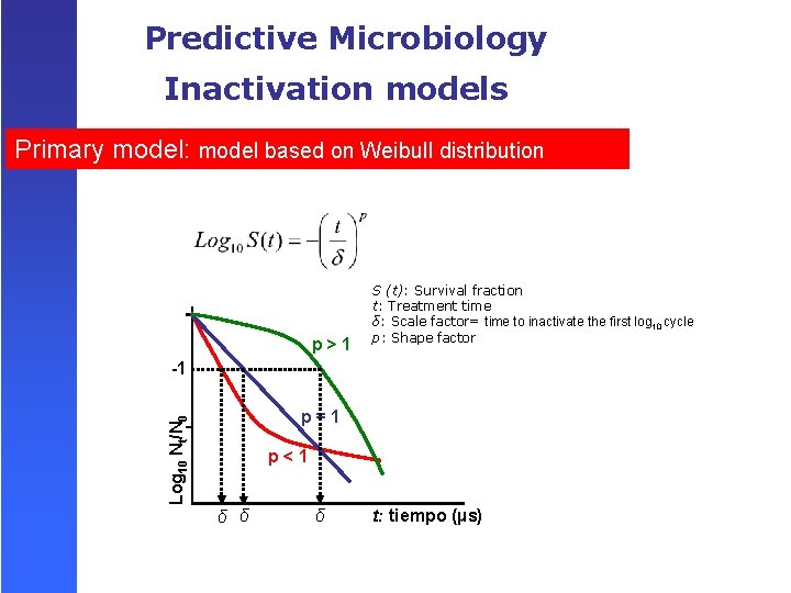 Predictive Microbiology Inactivation models Primary model: model based on Weibull distribution p>1 S (t):