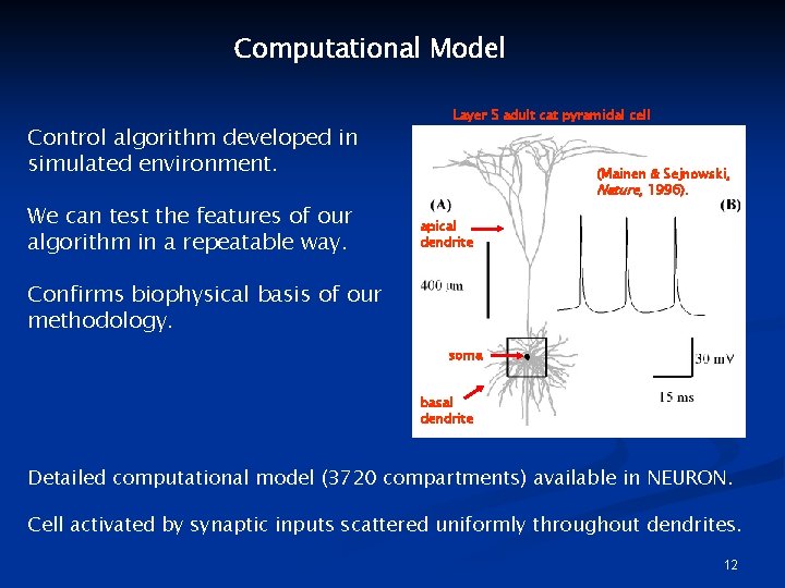 Computational Model Control algorithm developed in simulated environment. We can test the features of