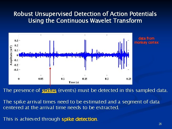 Robust Unsupervised Detection of Action Potentials Using the Continuous Wavelet Transform data from monkey