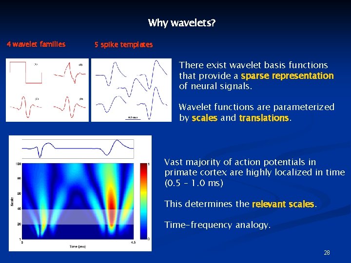 Why wavelets? 4 wavelet families 5 spike templates There exist wavelet basis functions that