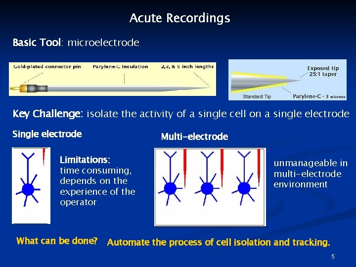 Acute Recordings Basic Tool: microelectrode Key Challenge: isolate the activity of a single cell