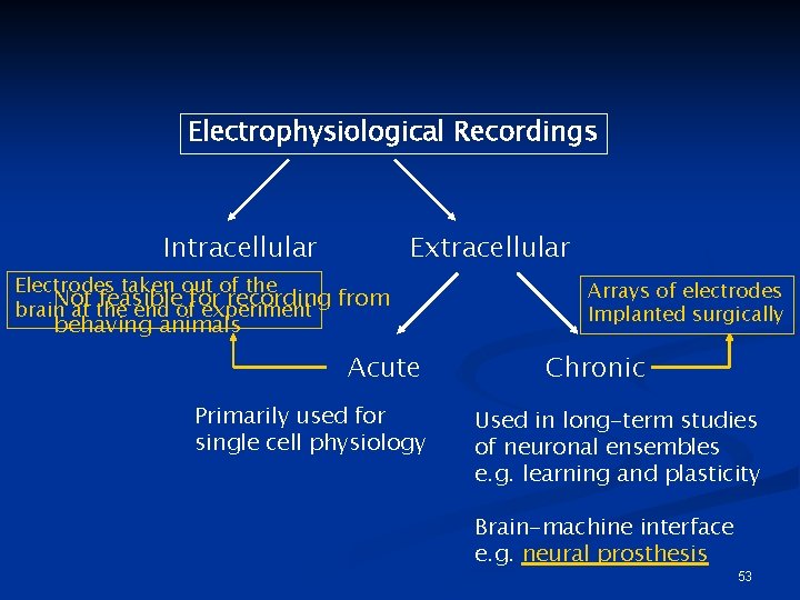 Electrophysiological Recordings Intracellular Extracellular Electrodes taken out of the Not feasible for recording from