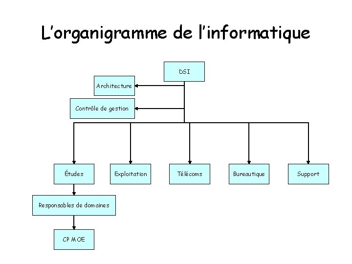 L’organigramme de l’informatique DSI Architecture Contrôle de gestion Études Responsables de domaines CP MOE