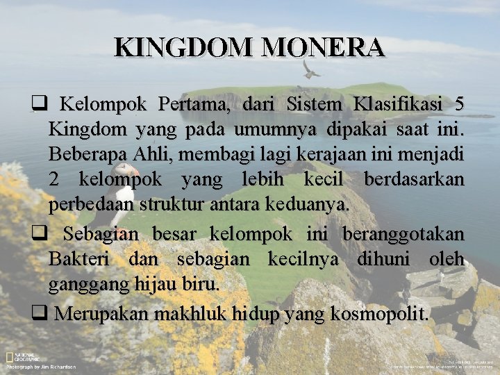 KINGDOM MONERA q Kelompok Pertama, dari Sistem Klasifikasi 5 Kingdom yang pada umumnya dipakai