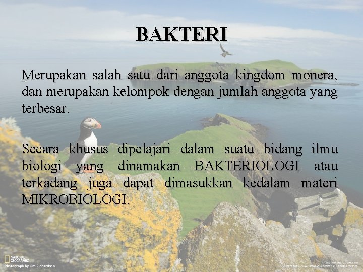 BAKTERI Merupakan salah satu dari anggota kingdom monera, dan merupakan kelompok dengan jumlah anggota