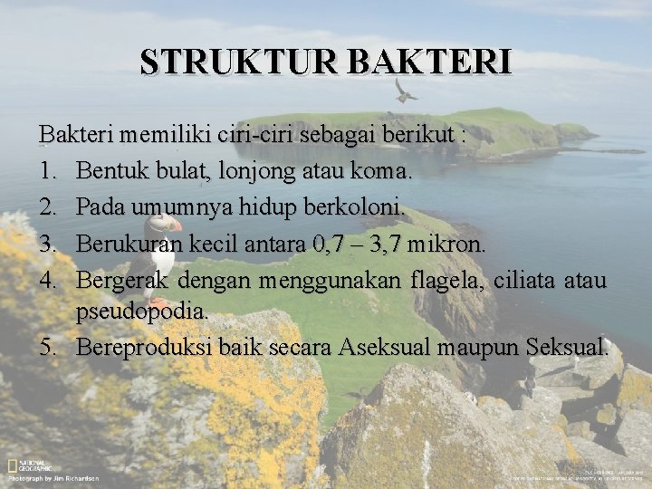 STRUKTUR BAKTERI Bakteri memiliki ciri-ciri sebagai berikut : 1. Bentuk bulat, lonjong atau koma.