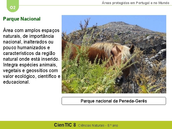 Áreas protegidas em Portugal e no Mundo O 2 Parque Nacional Área com amplos