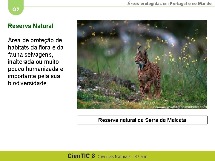 Áreas protegidas em Portugal e no Mundo O 2 Reserva Natural Área de proteção