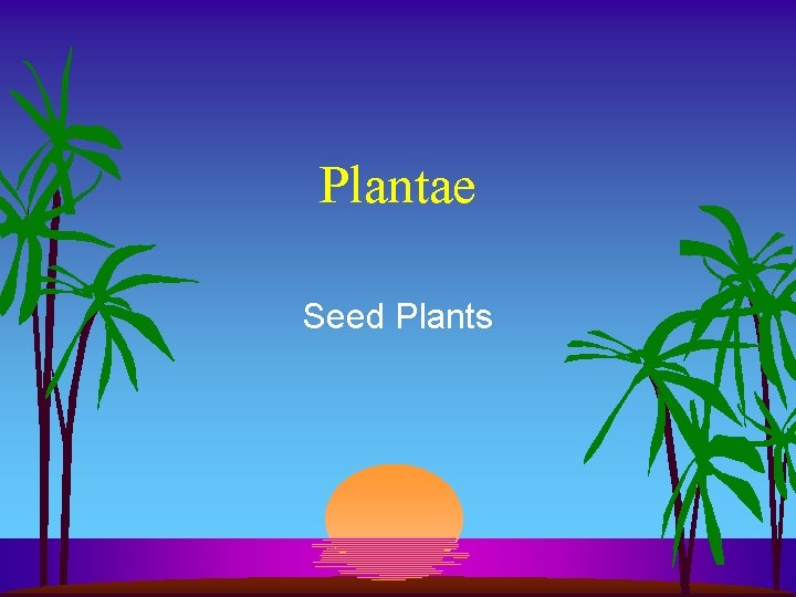 Plantae Seed Plants 