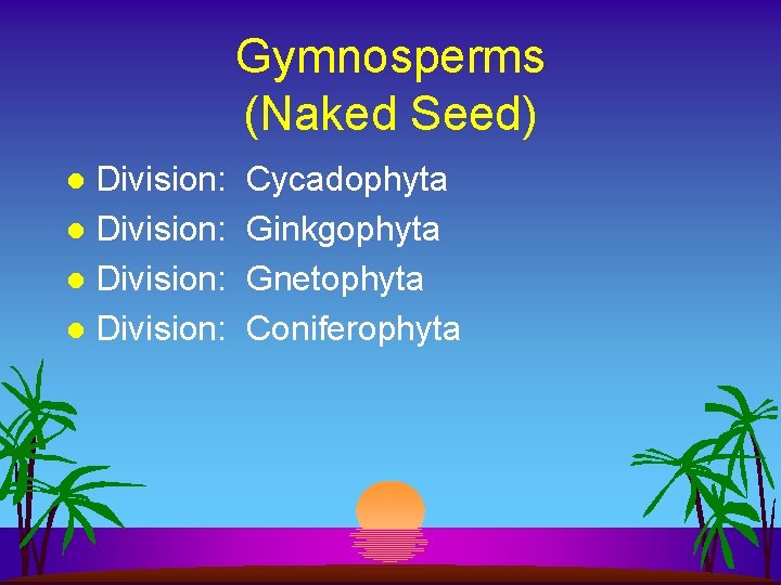 Gymnosperms (Naked Seed) Division: l Cycadophyta Ginkgophyta Gnetophyta Coniferophyta 