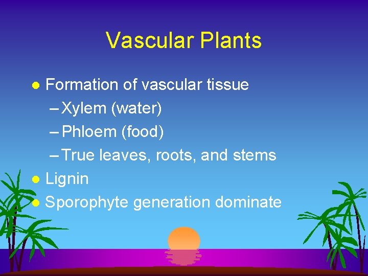 Vascular Plants Formation of vascular tissue – Xylem (water) – Phloem (food) – True