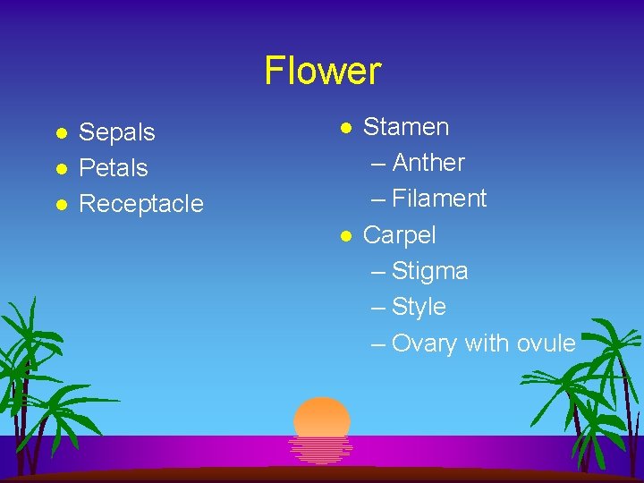 Flower l l l Sepals Petals Receptacle l l Stamen – Anther – Filament