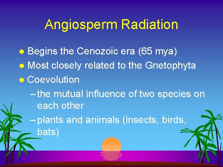 Angiosperm Radiation Begins the Cenozoic era (65 mya) l Most closely related to the