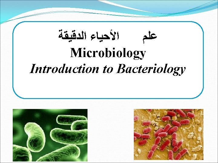  ﺍﻟﺪﻗﻴﻘﺔ ﺍﻷﺤﻴﺎﺀ ﻋﻠﻢ Microbiology Introduction to Bacteriology 