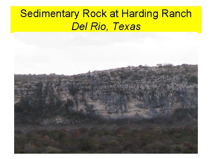 Sedimentary Rock at Harding Ranch Del Rio, Texas 