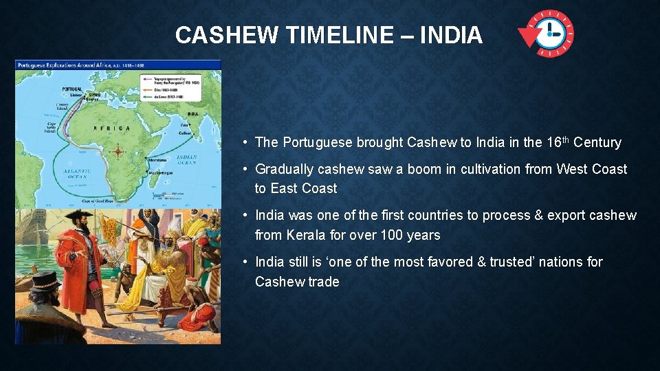 CASHEW TIMELINE – INDIA • The Portuguese brought Cashew to India in the 16