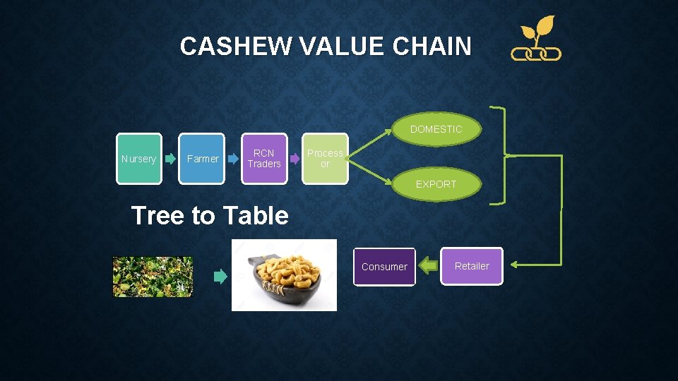 CASHEW VALUE CHAIN DOMESTIC Nursery Farmer RCN Traders Process or EXPORT Tree to Table