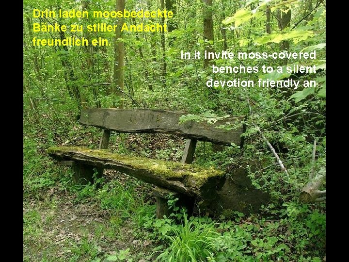 Drin laden moosbedeckte Bänke zu stiller Andacht freundlich ein. In it invite moss-covered benches