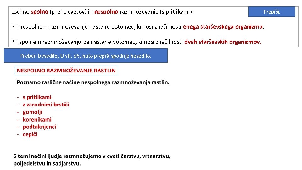 Ločimo spolno (preko cvetov) in nespolno razmnoževanje (s pritlikami). Prepiši. Pri nespolnem razmnoževanju nastane