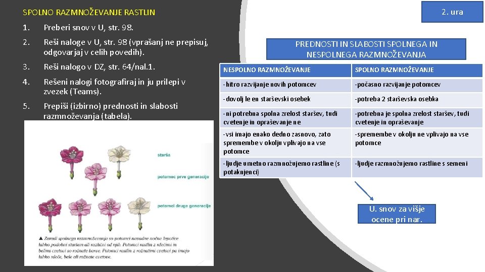 2. ura SPOLNO RAZMNOŽEVANJE RASTLIN 1. Preberi snov v U, str. 98. 2. Reši