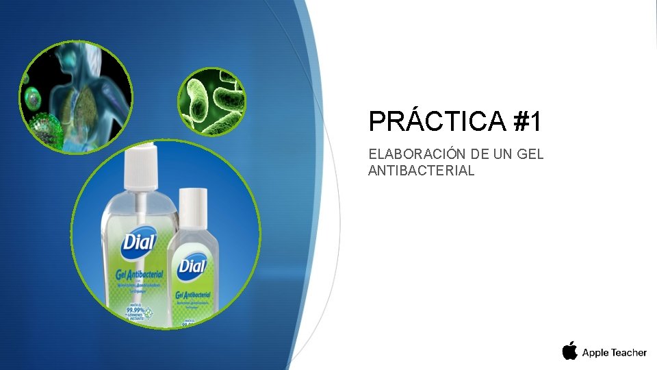 PRÁCTICA #1 ELABORACIÓN DE UN GEL ANTIBACTERIAL 