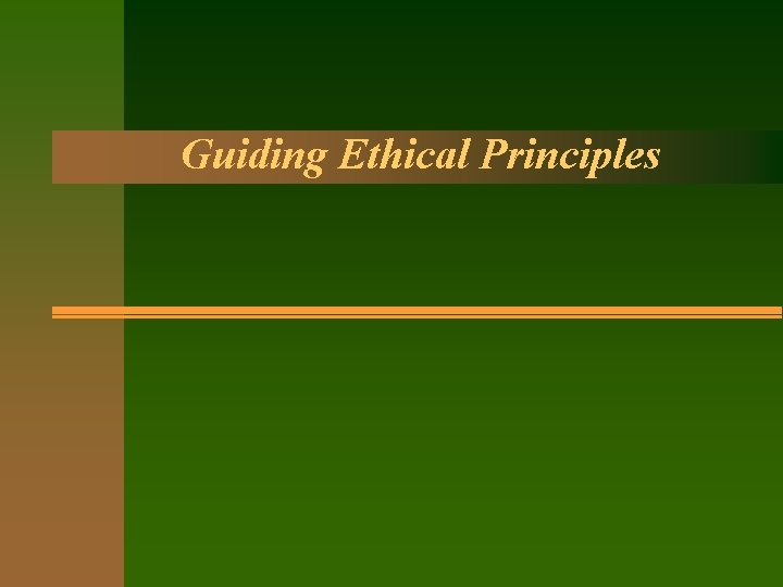 Guiding Ethical Principles 