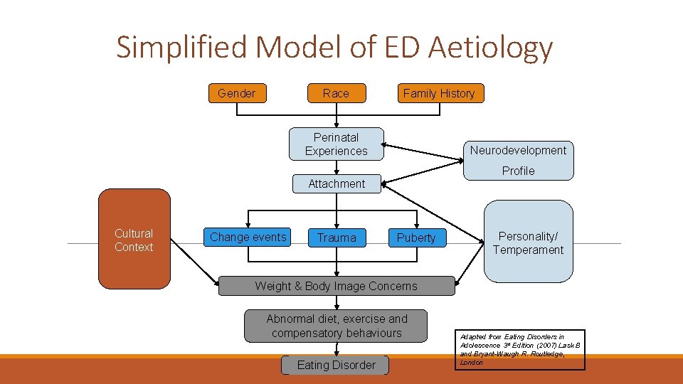 Simplified Model of ED Aetiology Race Gender Family History Perinatal Experiences Neurodevelopment Profile Attachment