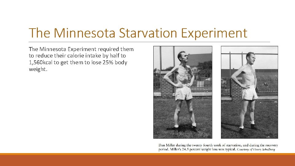 The Minnesota Starvation Experiment The Minnesota Experiment required them to reduce their calorie intake