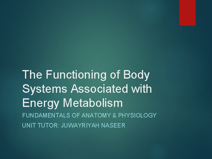 The Functioning of Body Systems Associated with Energy Metabolism FUNDAMENTALS OF ANATOMY & PHYSIOLOGY