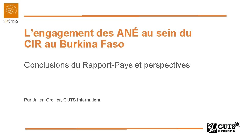 L’engagement des ANÉ au sein du CIR au Burkina Faso Conclusions du Rapport-Pays et