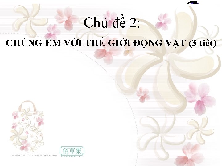 Chủ đề 2: CHÚNG EM VỚI THẾ GIỚI ĐỘNG VẬT (3 tiết) 