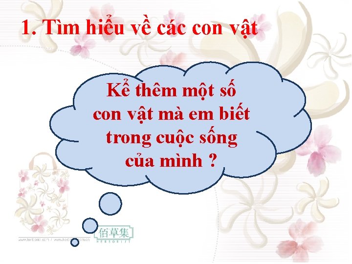 1. Tìm hiểu về các con vật Kể thêm một số con vật mà