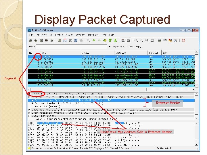 Display Packet Captured Frame # Ethernet Header Destination Mac Address Field in Ethernet Header